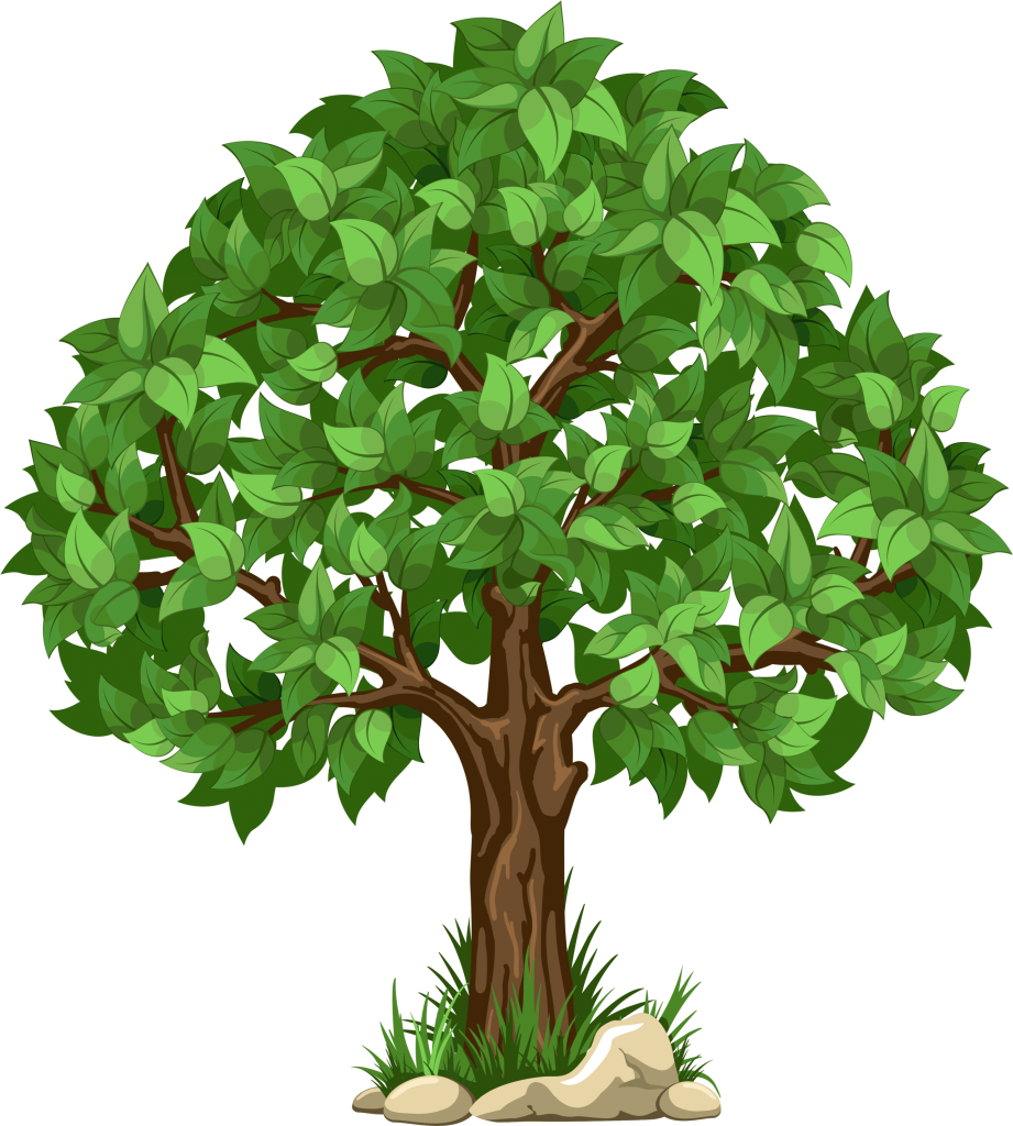 78 789563 transparent tree png clipart picture tree clipart transparent background 1