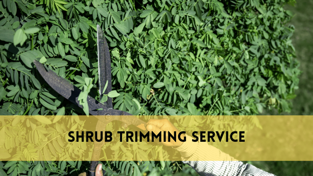 Shrub trimming service